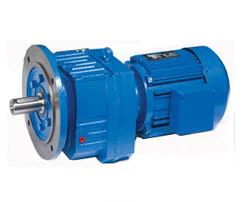 Động cơ bánh răng xoắn ốc R Series
